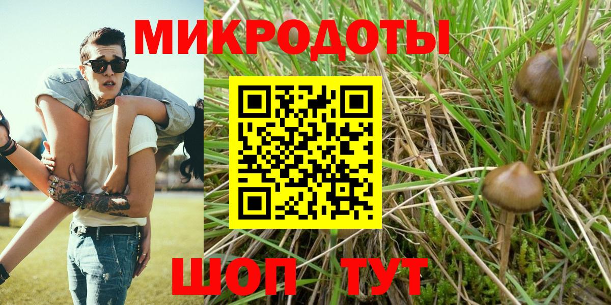 Усть-Джегута  Галлюциногенные грибы мицелий  Вход с VPN 